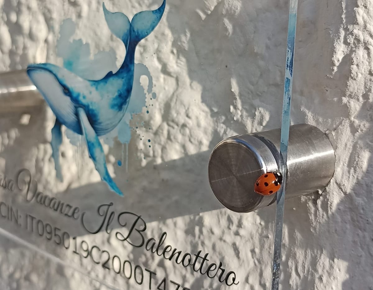 A transparent sign showcases the name 'Il Balenottero,' featuring a blue whale illustration. A small ladybug is perched on the metal holder of the sign, set against a textured white wall, creating an inviting entrance to the vacation home.
