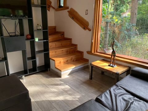 Popular Airbnb listing: Cabin-style House in the Woods in Bosque Peralta Ramos