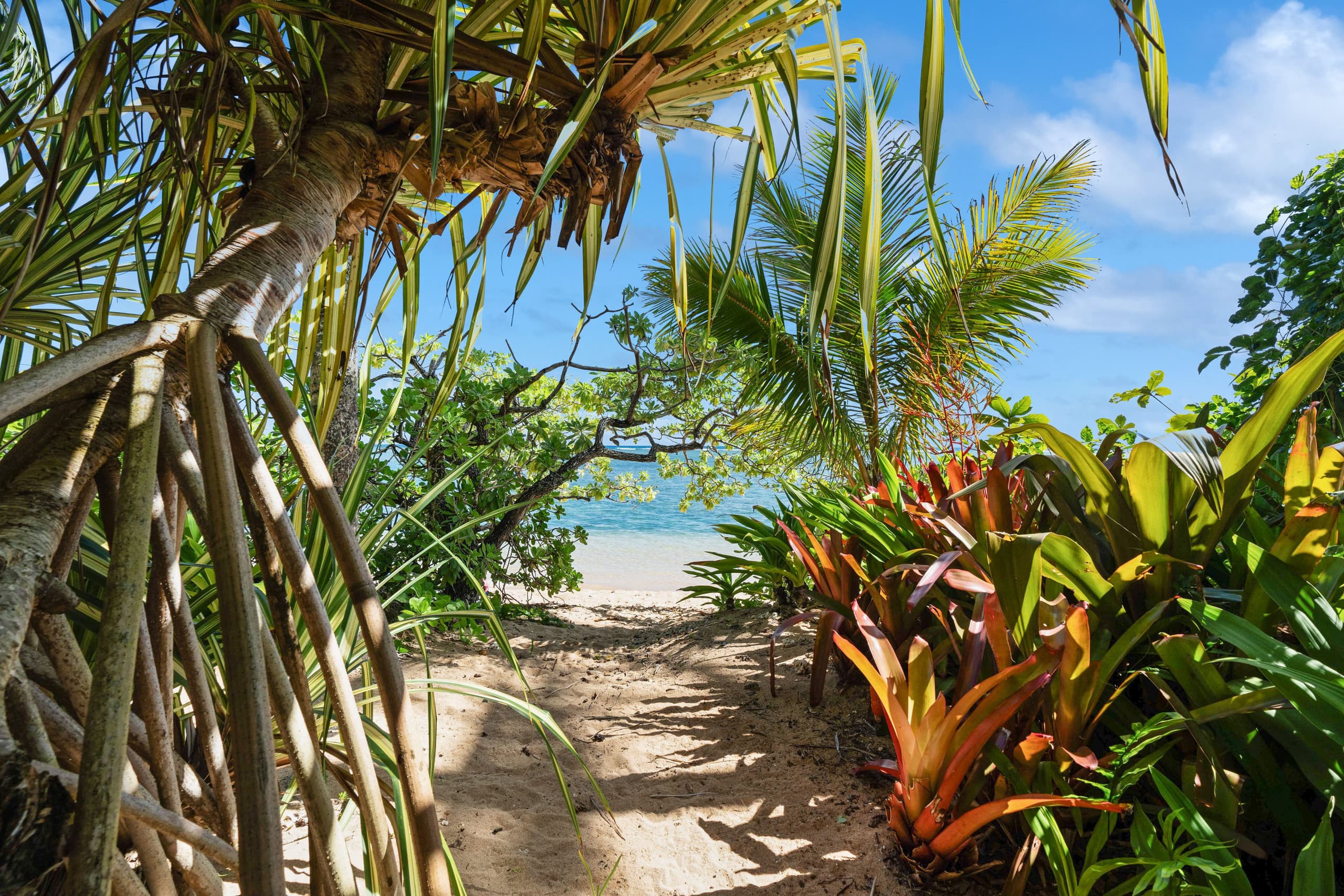 Home in Kilauea · ★4.87 · 3 bedrooms · 5 beds · 3 baths - Image 26