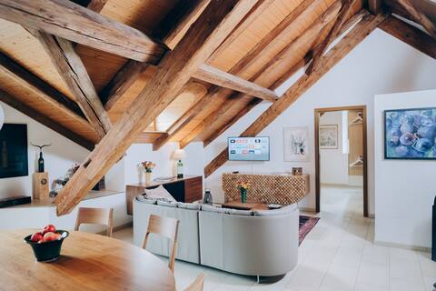 Luxury Suite in SPA quarter