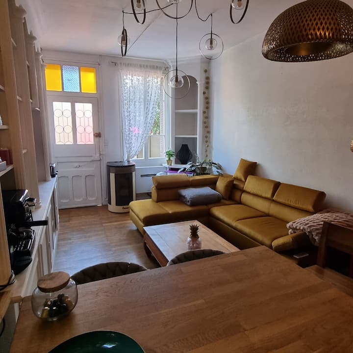 Maison Charmante + Extérieur,  Ile Verte - Grenoble