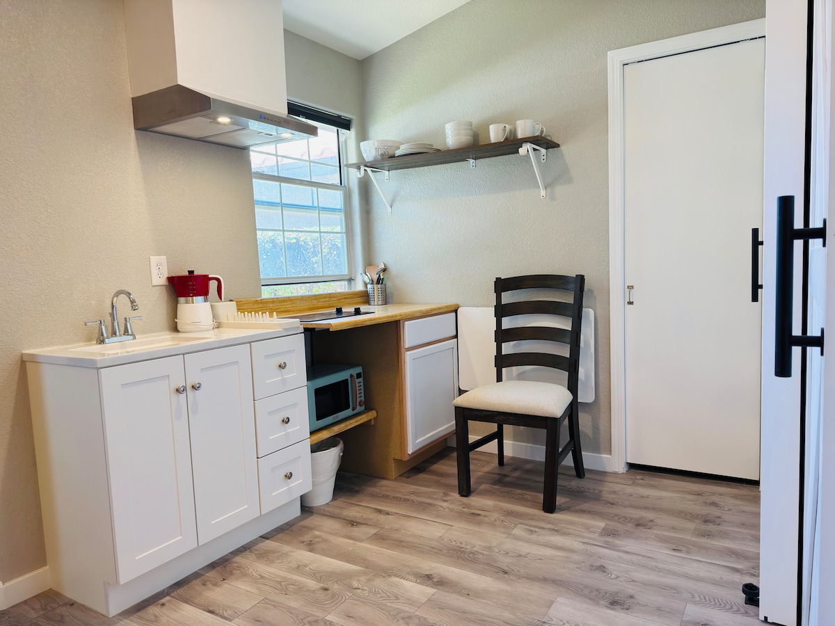 Modern Guest Studio