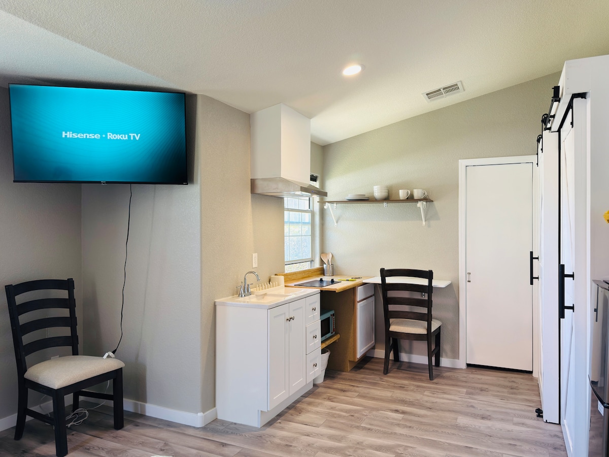 Modern Guest Studio