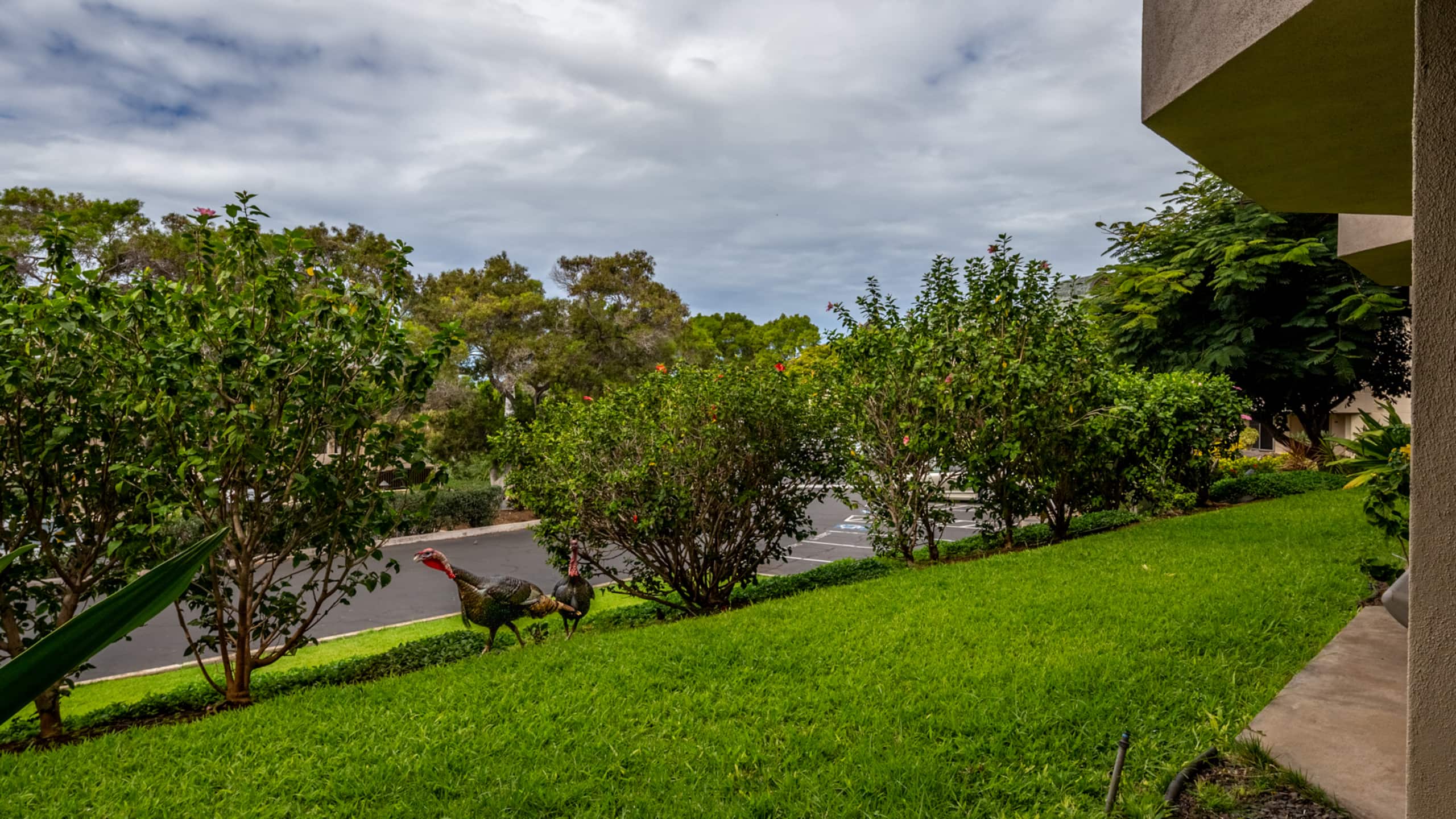 Garden condo, resort amenities! - Photo 20
