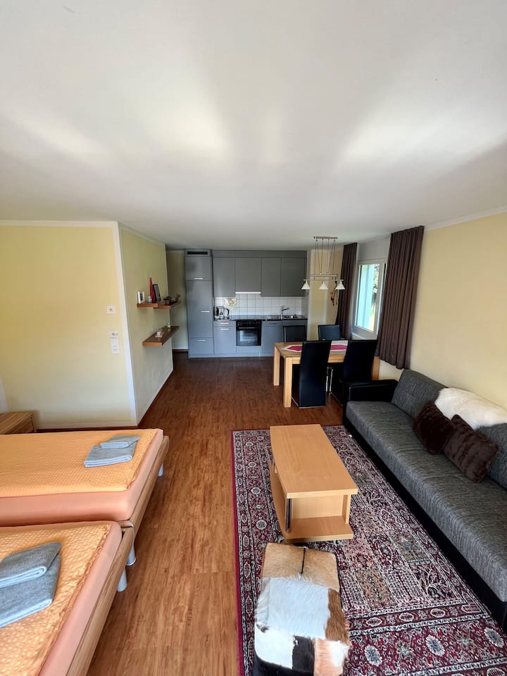Studio Im Aladin Haus - Pontresina
