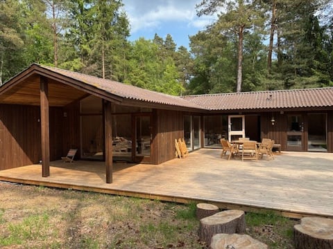 Unique Forest Retreat