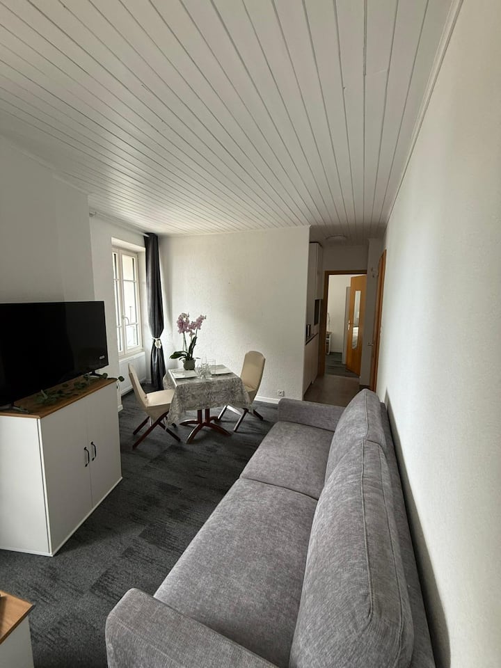 Appartement Cosy 4 - Nyon