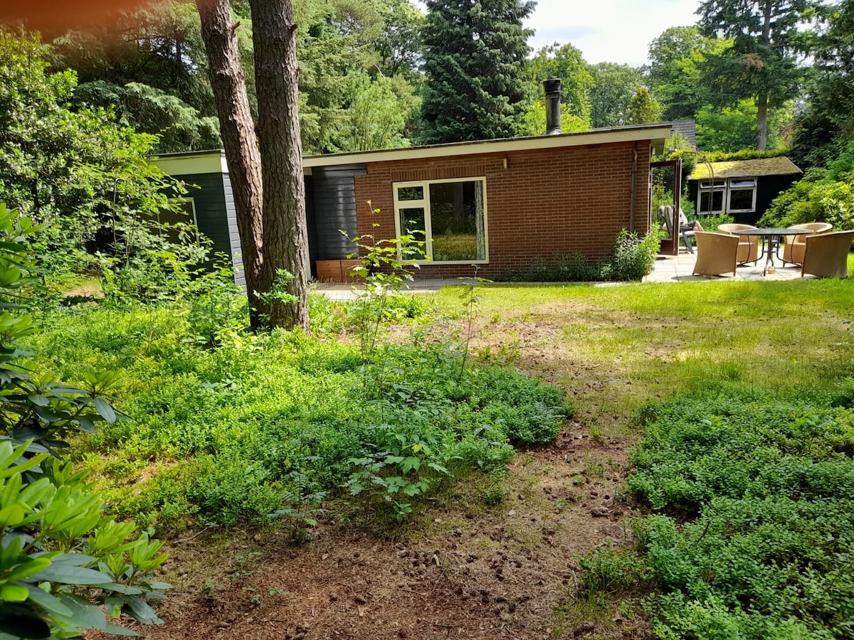 The exterior of a modern house is framed by lush greenery, featuring large windows that provide a view into the living space. A well-kept lawn and a terrace area with seating are visible, encouraging outdoor relaxation.