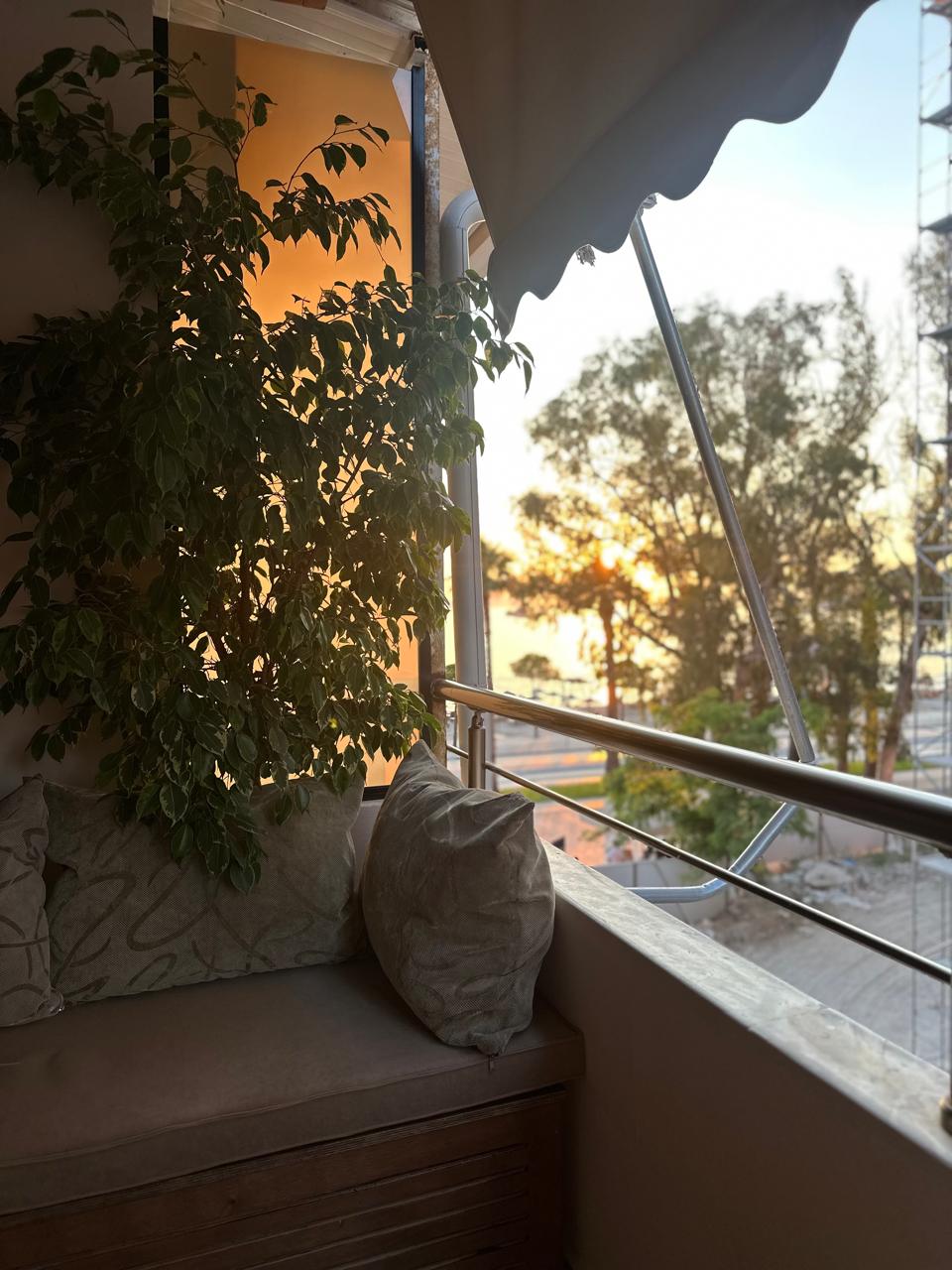 Listing 1460075944782501404