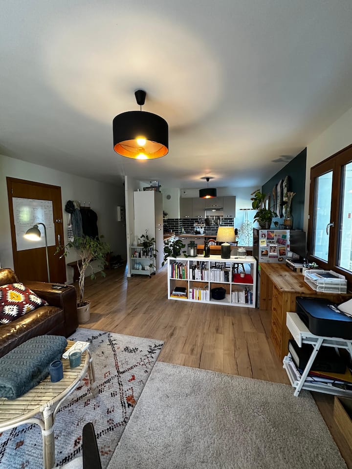 Appartement Cosy Et Moderne à 2 Pas Du Lac - Saint-Jorioz