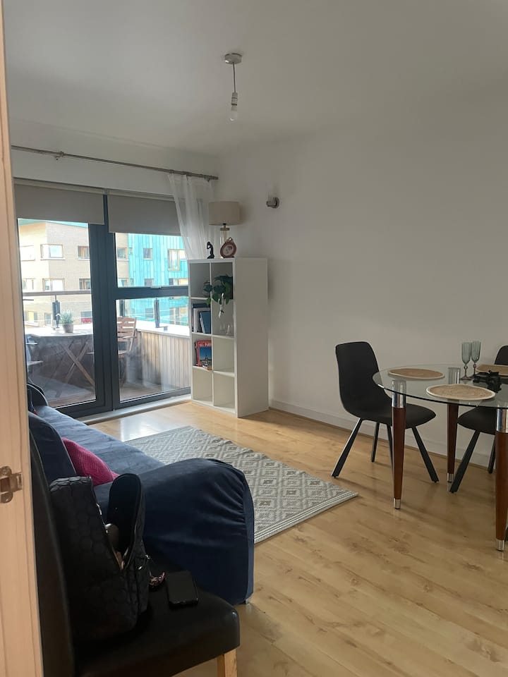 Cosy Apartment In Dublin City Centre. Entire Home. - Dublin