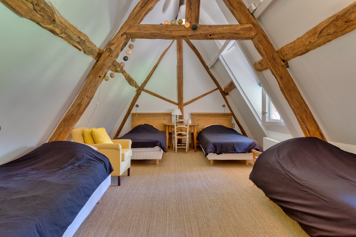 Gran habitación familiar bajo los tejados, perfecta para recibir a niños o adolescentes.