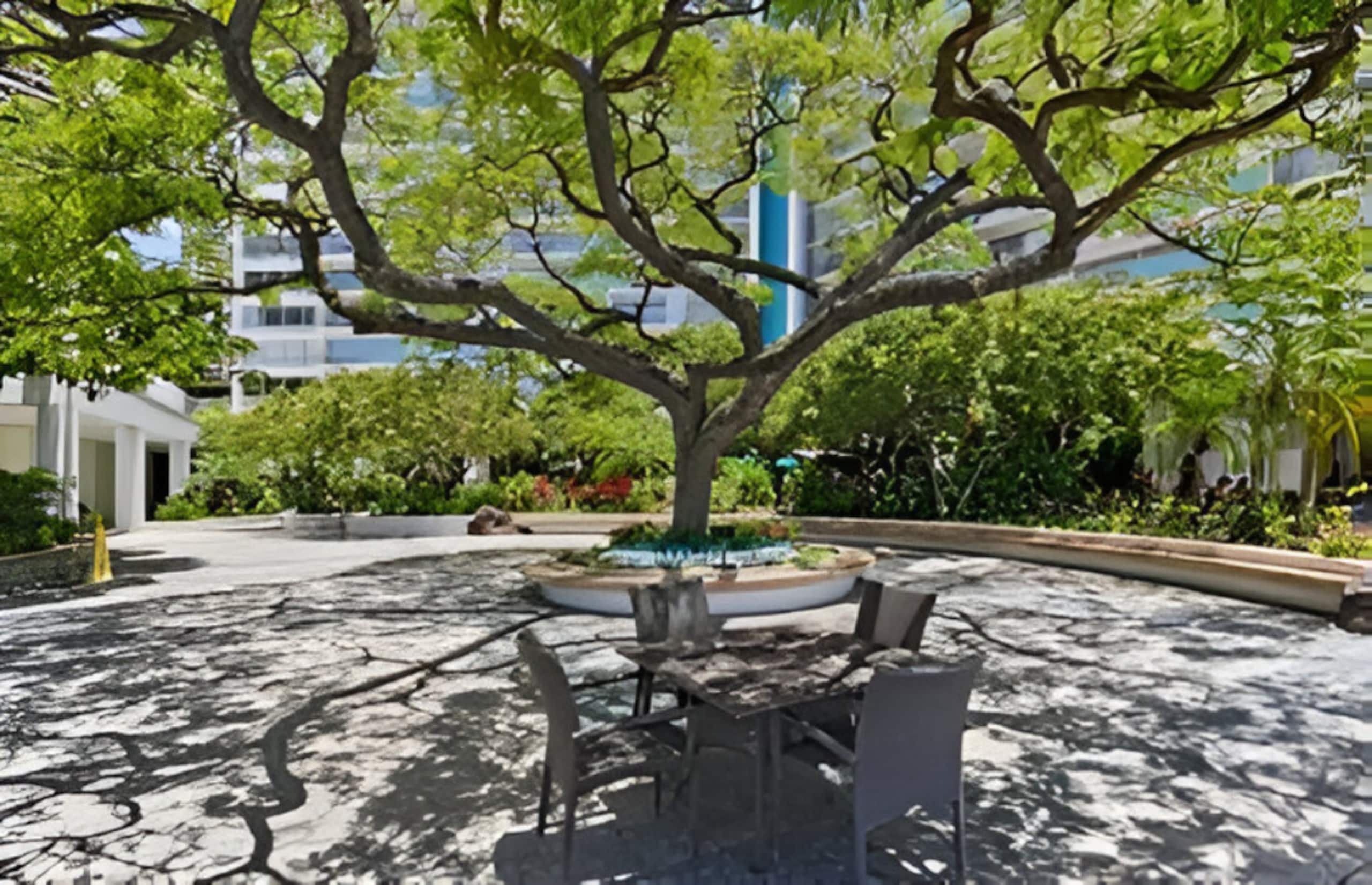 Condo in Honolulu · ★5.0 · 1 bedroom · 2 beds · 1 private bath - Image 27