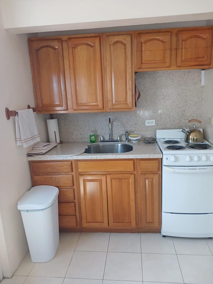 Pristine One Bedroom Apartment - Bermudas
