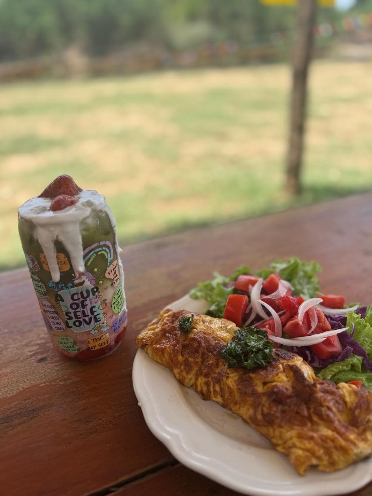 A plate of an omelette is positioned beside a colorful salad, featuring greens, diced tomatoes, and sliced onions. A can of beverage with vibrant illustrations is also displayed. The setting overlooks a grassy area, with blurred greenery in the background.