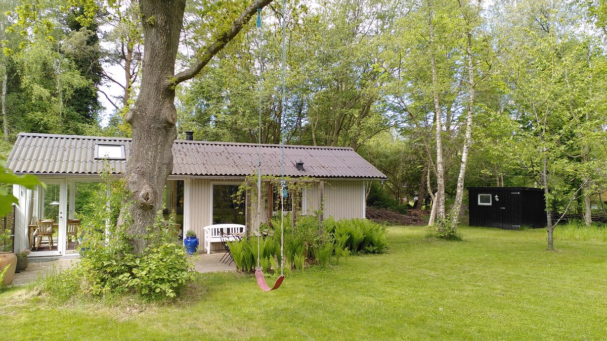 A charming summer house surrounded by tall trees and lush greenery. A spacious yard features a swing hanging from a sturdy tree branch. The structure showcases large windows and a combination of wood and white siding, offering a cozy yet natural aesthetic.