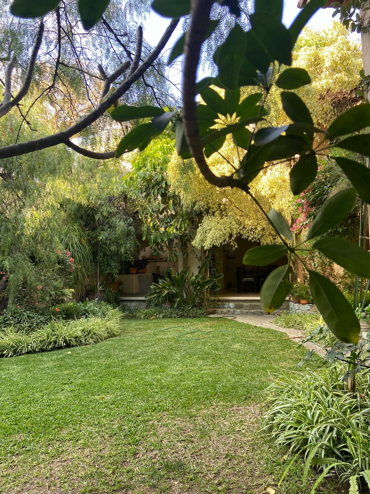 A well-maintained garden is visible, featuring lush green grass surrounded by various plants and trees. Pathways lead toward the entrance of the house, where light can be seen filtering through the foliage, creating a serene and inviting atmosphere.