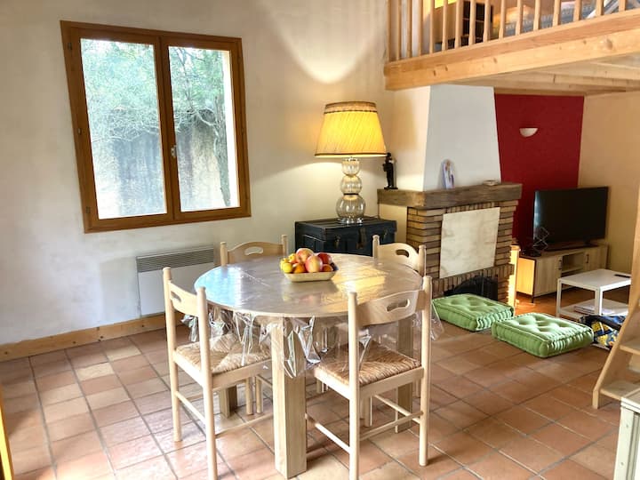 Maison Avec Piscine Et Jardin Clos 6 Personnes - Valensole