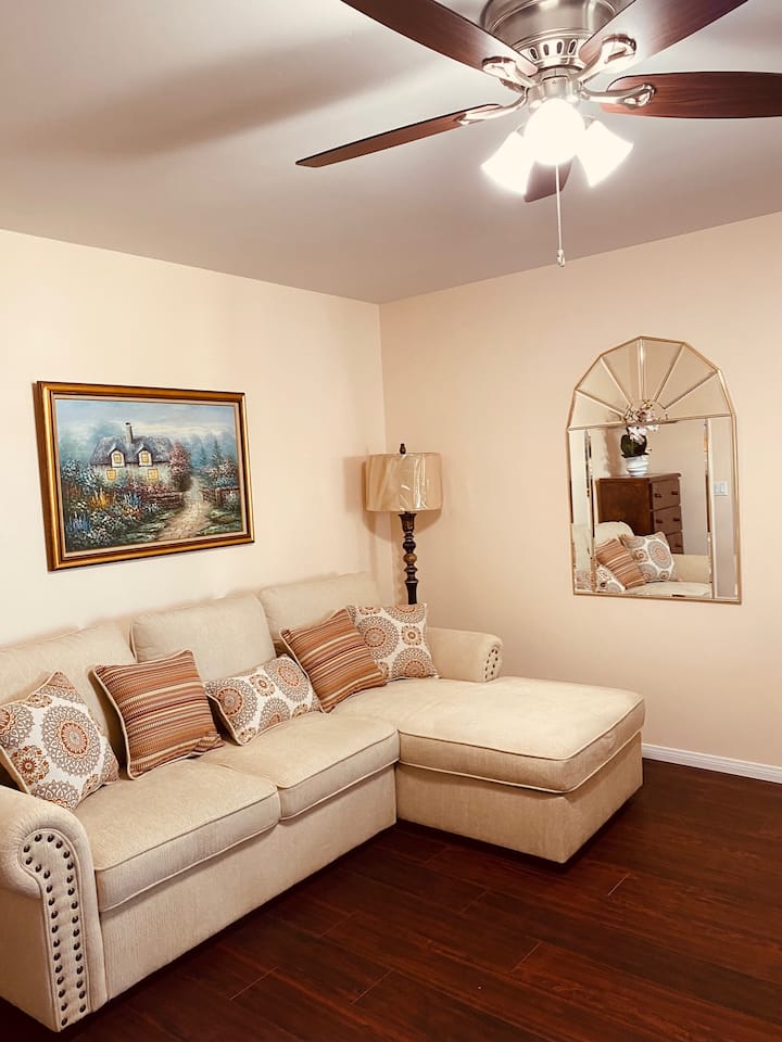 Beautifully decorated and well-lit living room furnished with a comfortable sofa sleeper