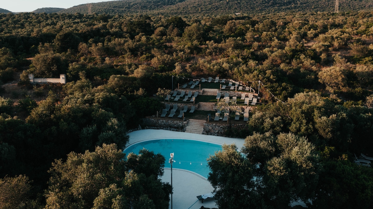 An aerial view of a serene outdoor pool set amidst lush greenery, surrounded by olive trees. Lounge chairs are neatly arranged on a terraced area overlooking the pool, creating an inviting space for relaxation. The natural landscape features rolling hills in the background.