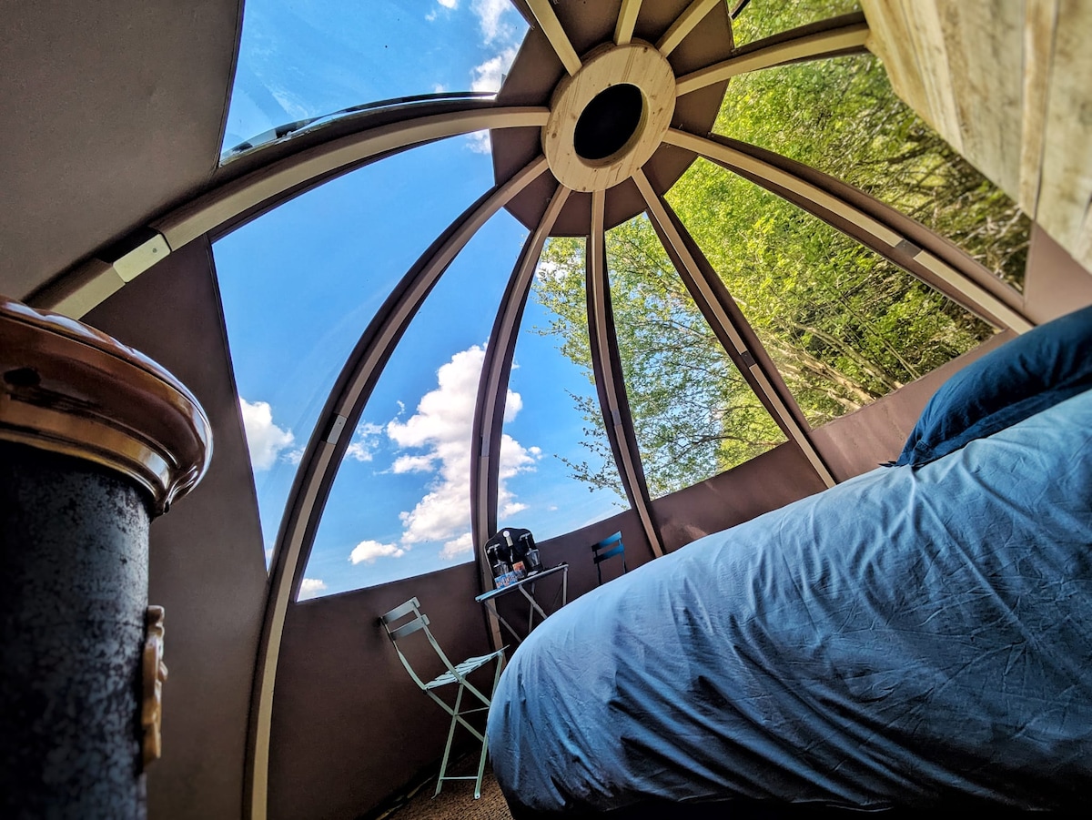 A geodesic dome features a transparent roof, offering a view of the blue sky and scattered clouds. A spacious bed is positioned near a small table and chairs, surrounded by natural greenery that enhances the bright and open atmosphere.