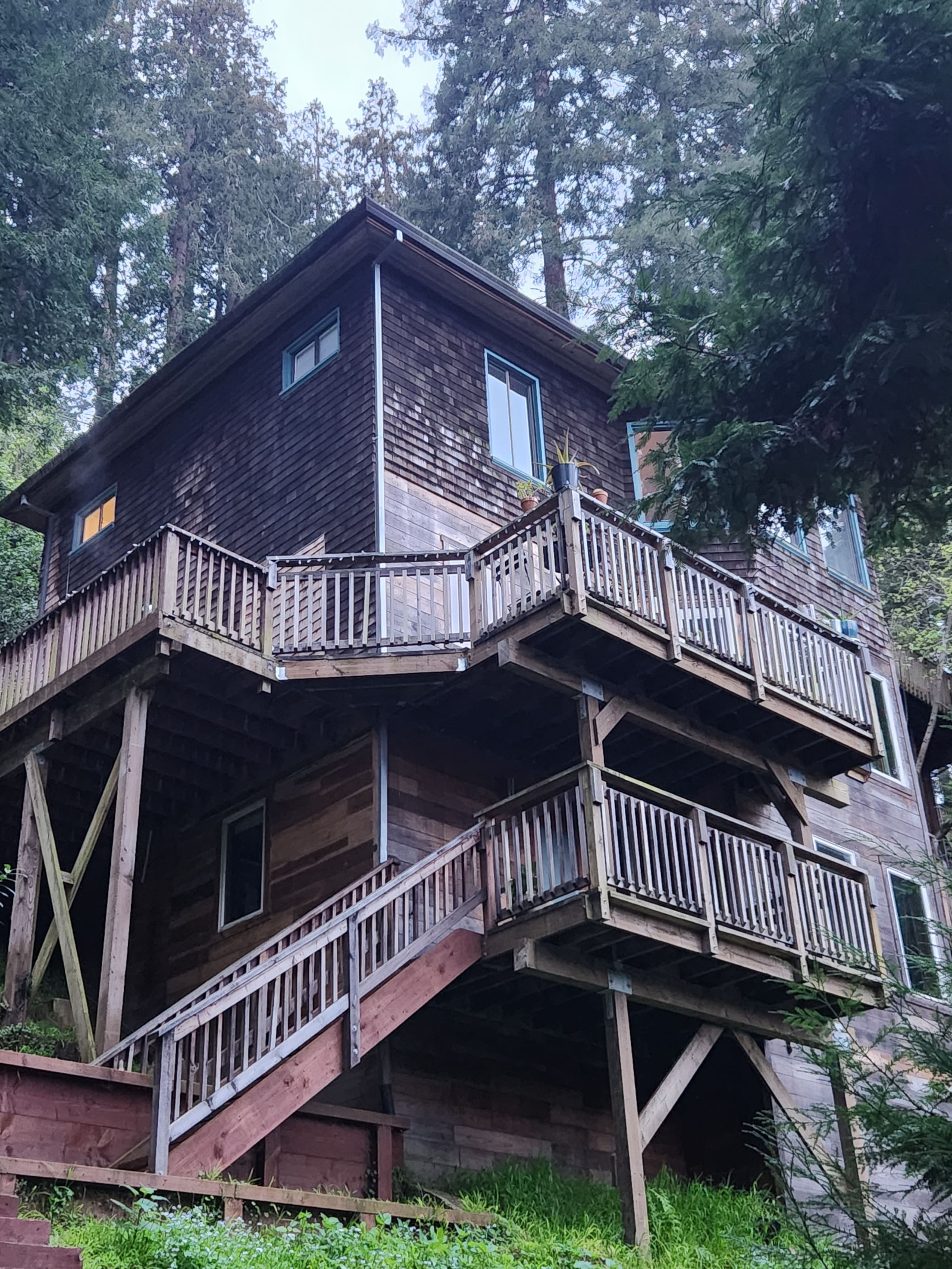 Historic 1903 Redwood Haven, Steps to Town - Photo 10