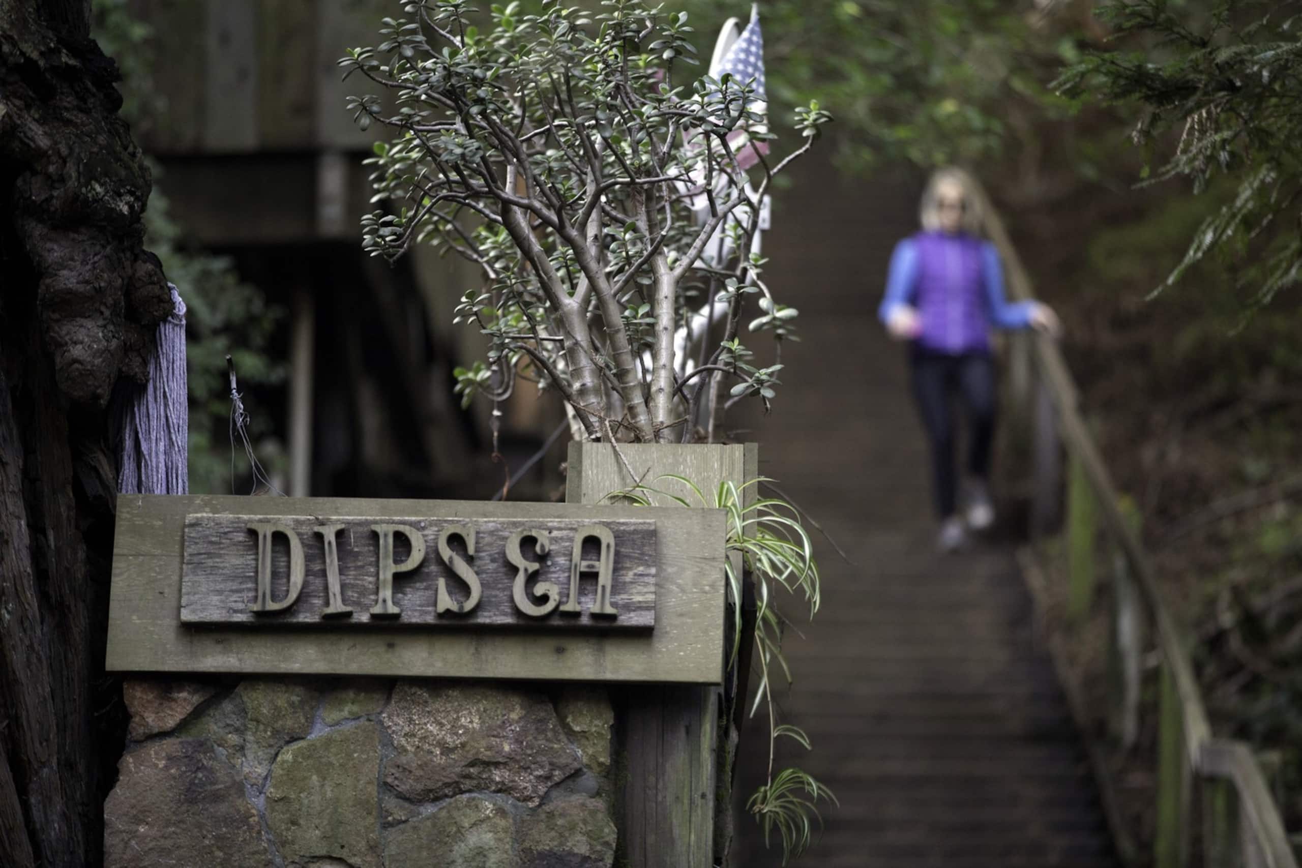 Historic 1903 Redwood Haven, Steps to Town - Photo 2