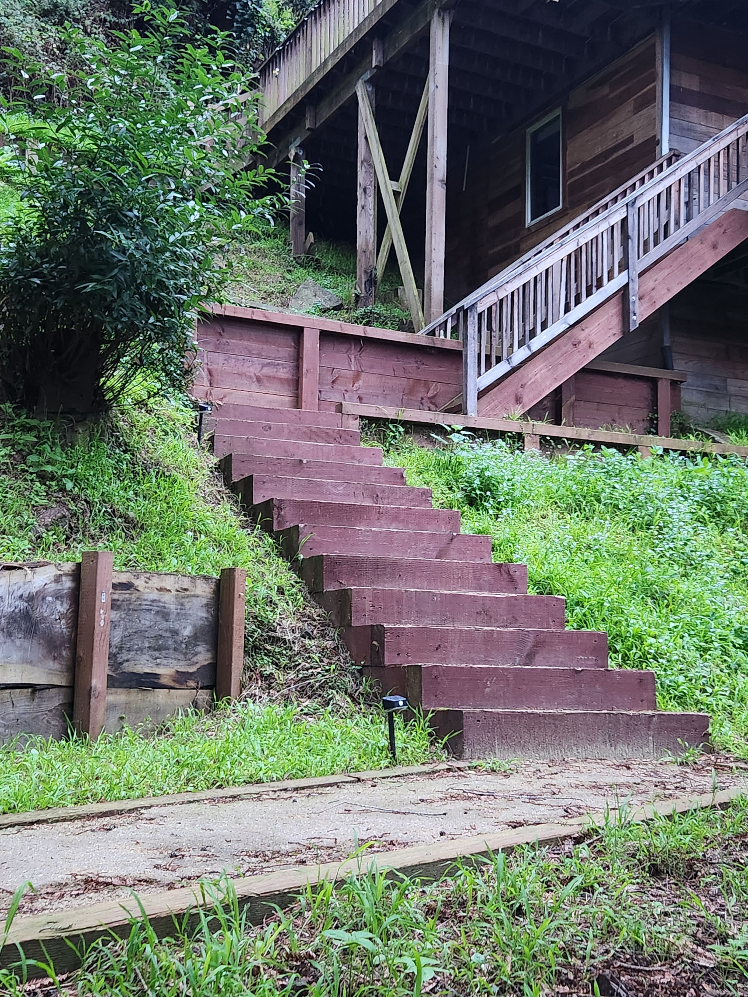 Historic 1903 Redwood Haven, Steps to Town - Photo 11