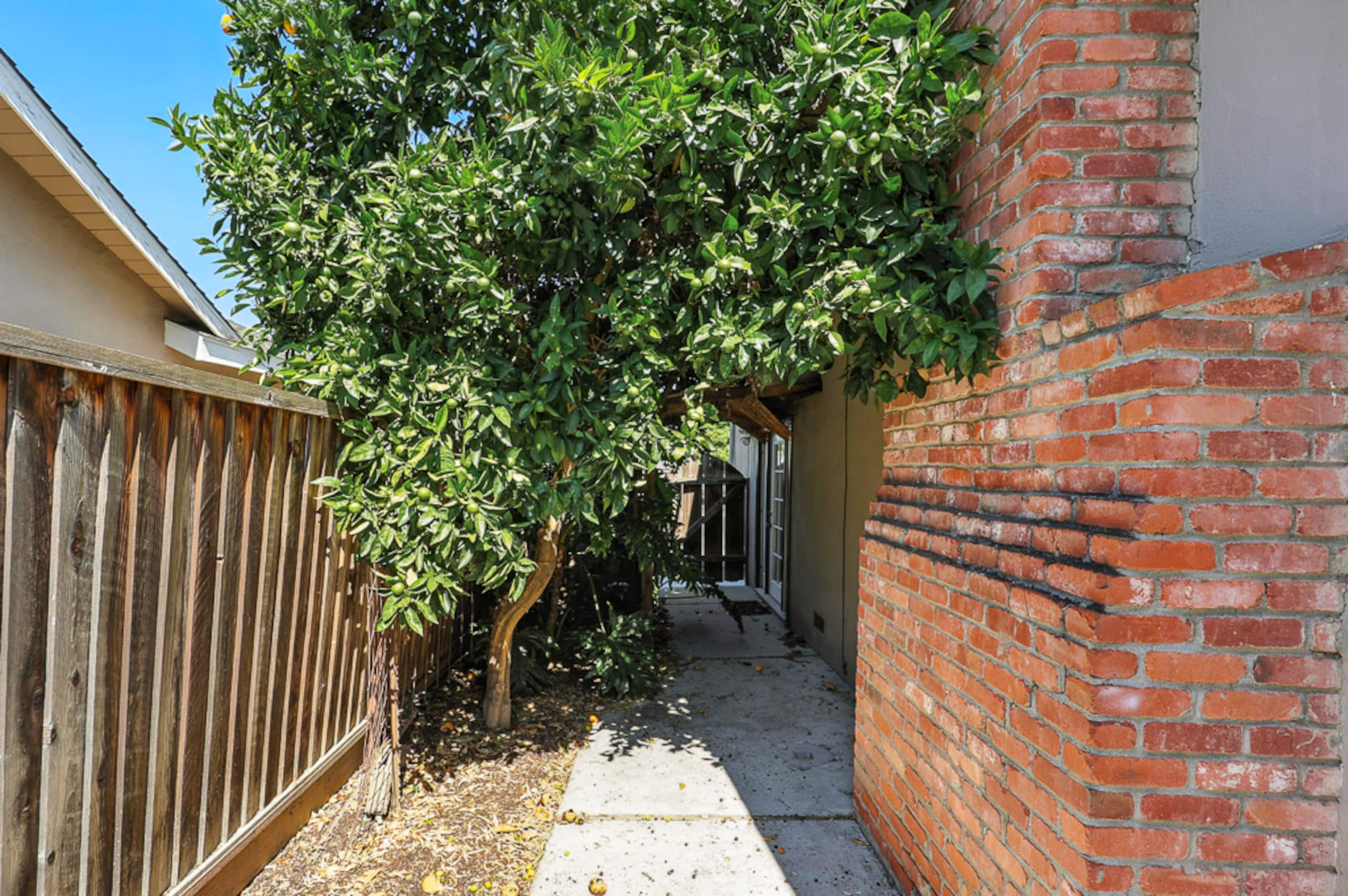 Home in San Jose · ★4.88 · 4 bedrooms · 5 beds · 3 private baths - Image 69