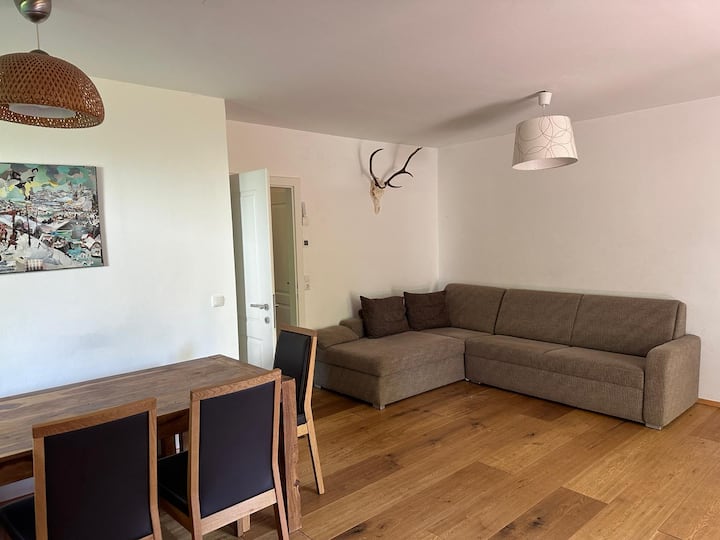 Wohnung Mit Seezugang / Ried Am Wolfgangsee - Wolfgangsee