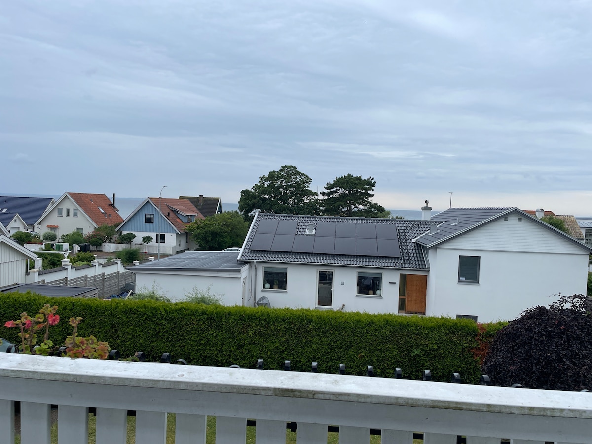 A view overlooking a residential area features houses with sloped roofs and solar panels. Lush greenery lines the foreground, with a white house visible among the neighboring structures. A cloudy sky creates a subdued light across the scene.