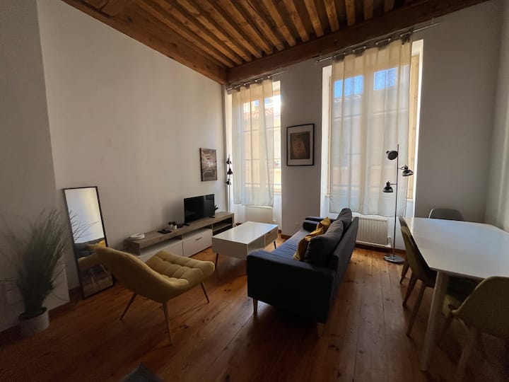 Charme Et Confort Au Cœur De Lyon, Proche Du Rhône - Lyon