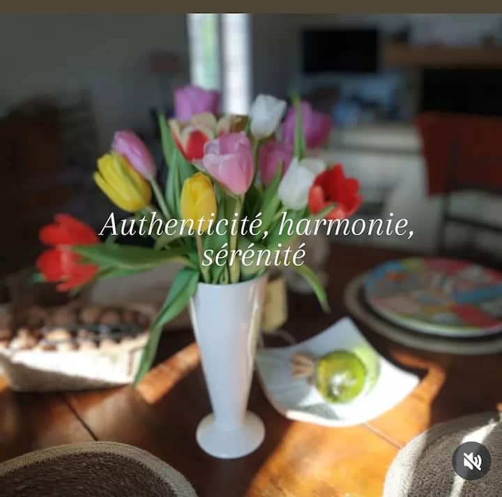 Chambre D'hôtes - Fréjus