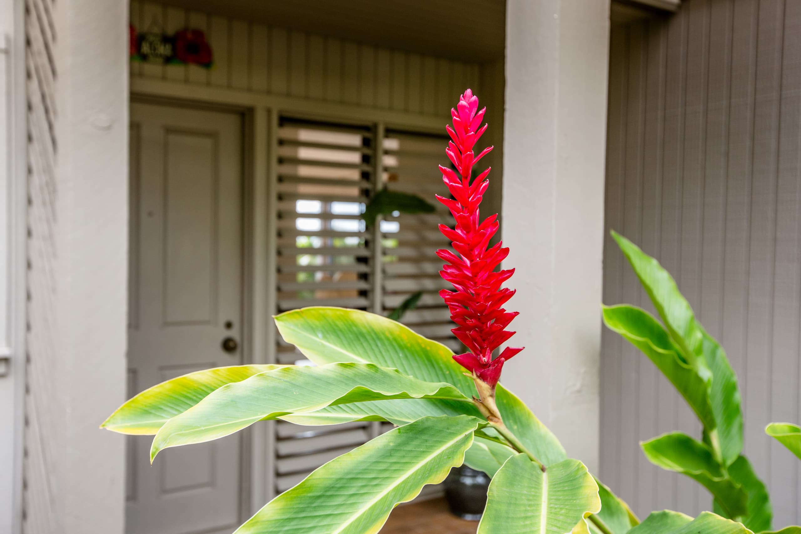 Condo in Kihei · ★4.7 · 2 bedrooms · 3 beds · 2 private baths - Image 24