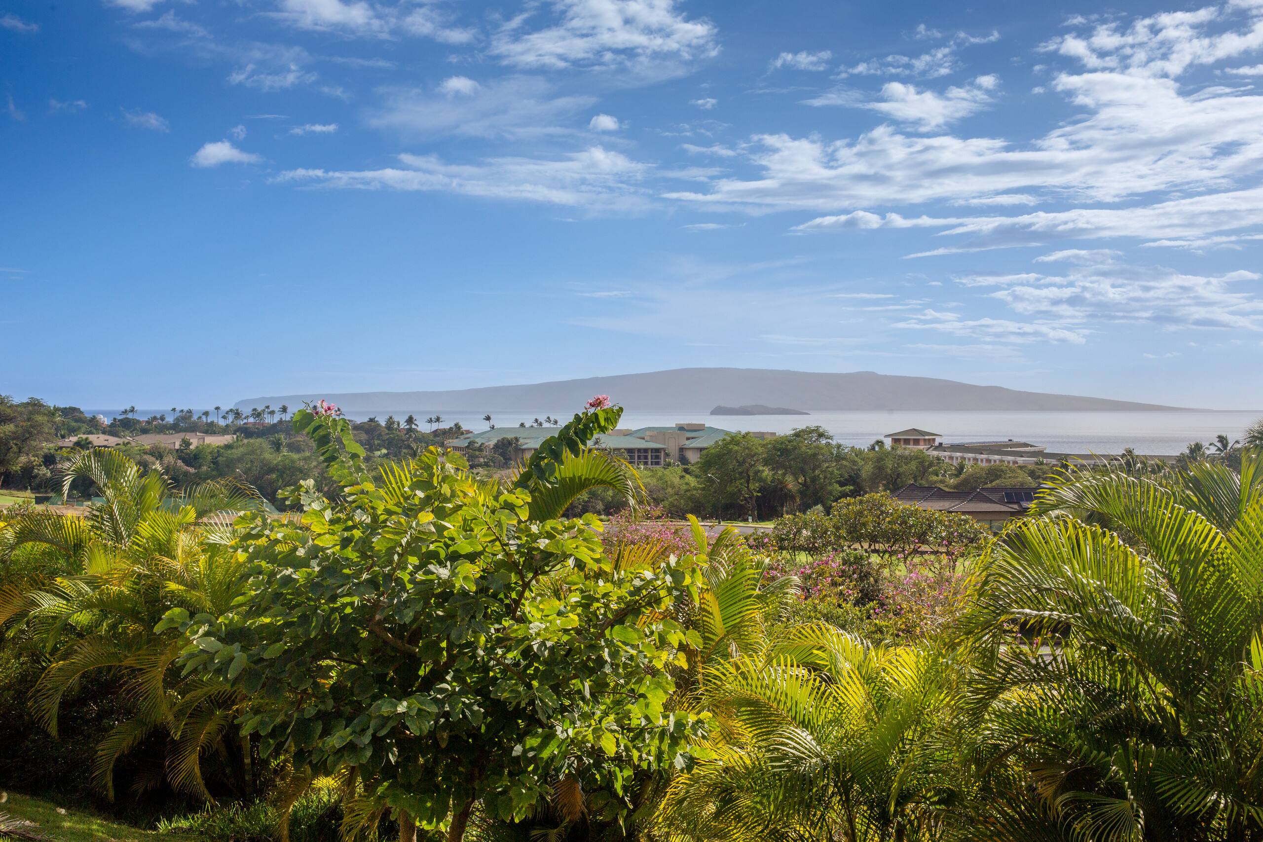 Condo in Kihei · ★4.7 · 2 bedrooms · 3 beds · 2 private baths - Image 30