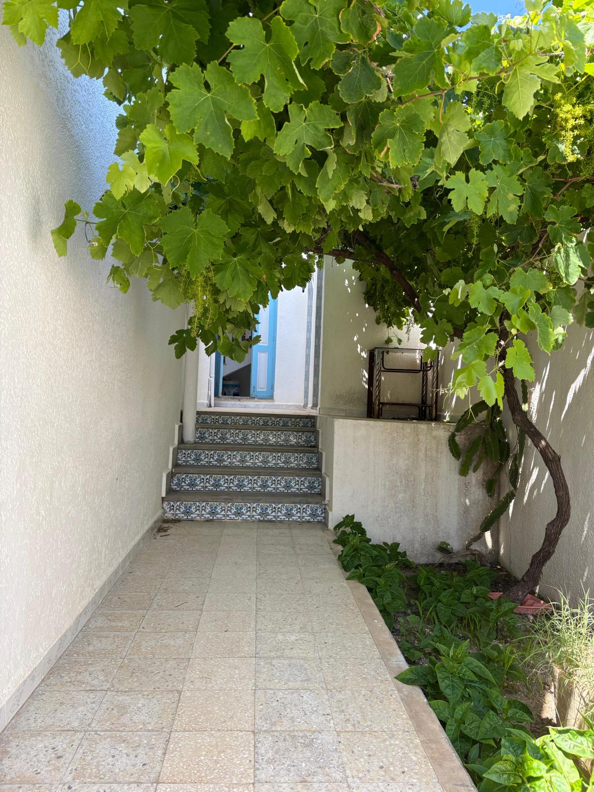 A stone pathway is bordered by lush greenery leading up to a set of steps. Above, a leafy vine adds shade to the area. At the top of the steps, a door is partially visible, framed by white walls.