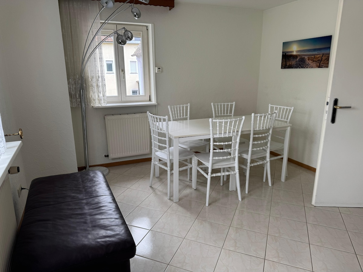 Business apartments and apartments with meals
