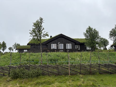 Cabin with amazing location