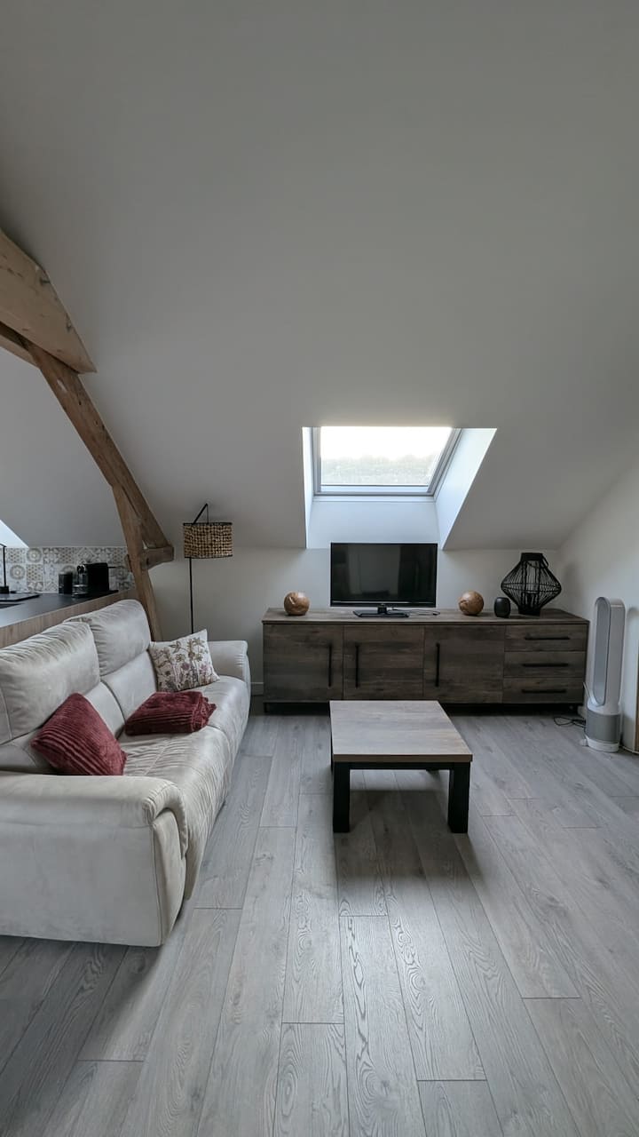«&nbsp;Sly To The Sky&nbsp;» Appartement 2p - Spa