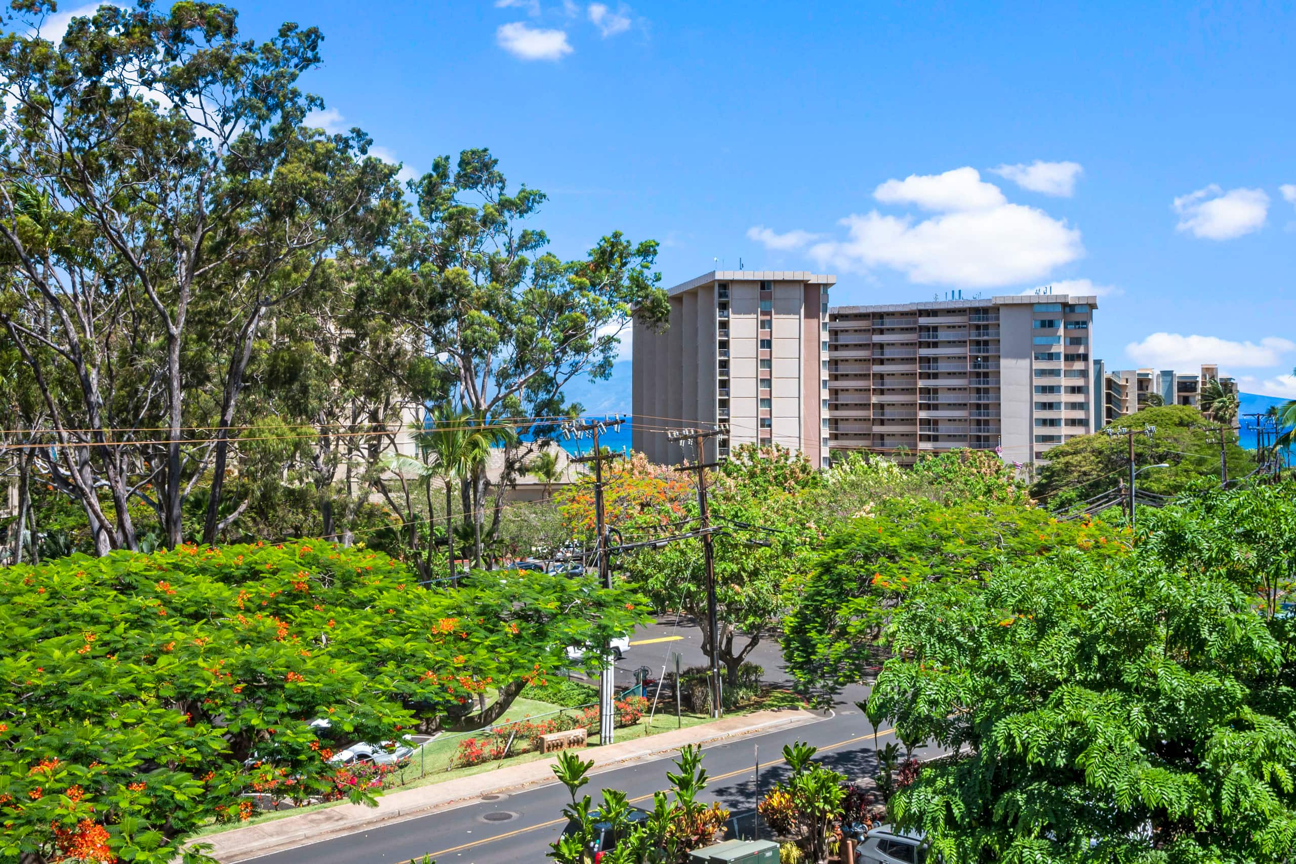 Steps to Sand & Surf - Fully Renovated Condo - Image 12