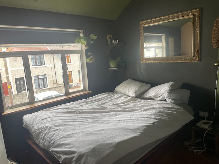 City Centre-guinness Quarter Quiet Home From Home. - Fingal