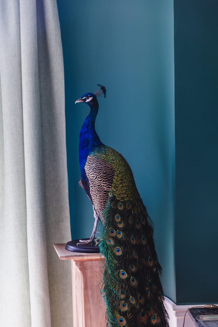 Chic & Luxe in the heart of Paris, 7th arrondissement