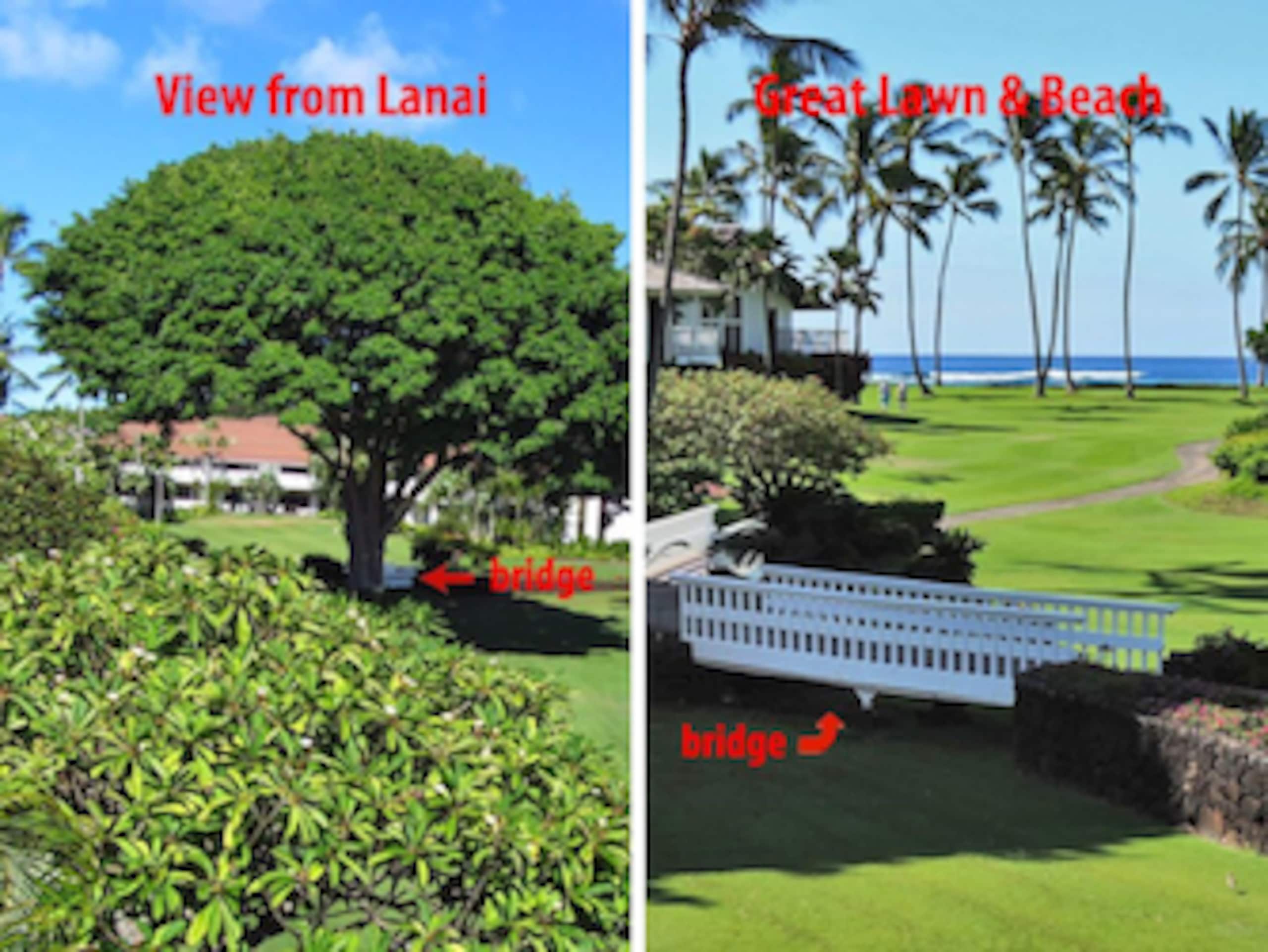 Condo in Koloa · ★4.76 · 1 bedroom · 2 beds · 1 bath - Photo 17