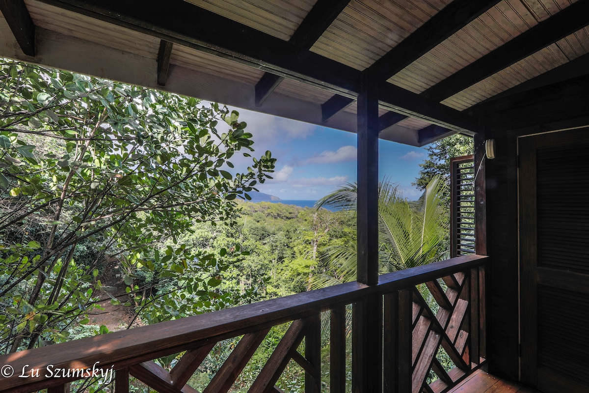 A wooden balcony offers views of lush greenery and tropical plants, leading to a glimpse of the Atlantic Ocean in the distance. The design features wooden railings and louvered windows, allowing natural light and gentle breezes into the space.