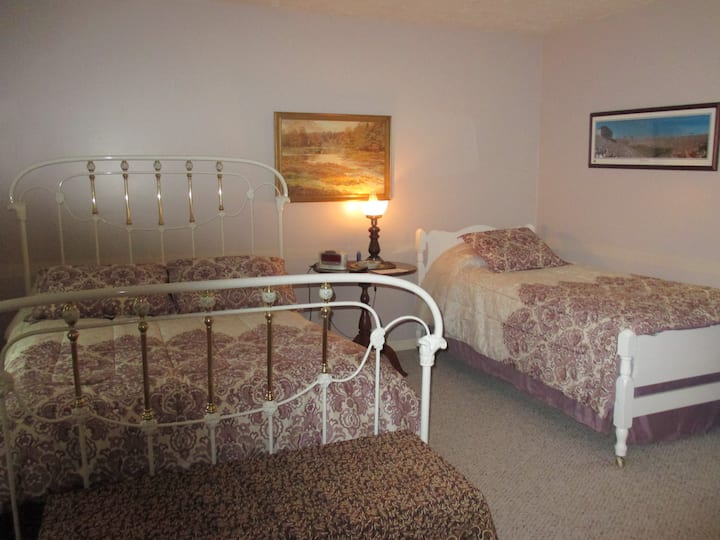 Spálňa s toaletou a oddelenými posteľami
