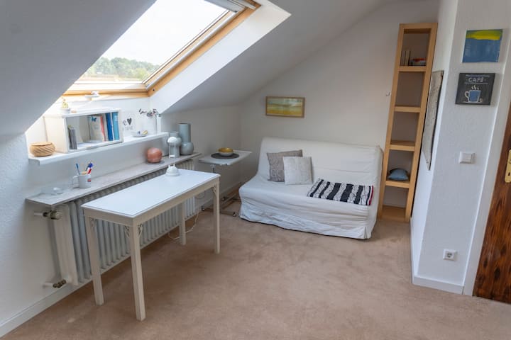 โซฟาเบดห้องแรกที่สว่างสดใสโต๊ะทำงานและพื้นที่รับประทานอาหาร