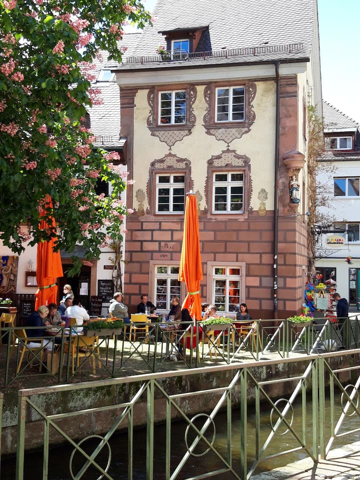 Apartment "A" in the old town Apartments for Rent in Freiburg im Breisgau, BadenWürttemberg