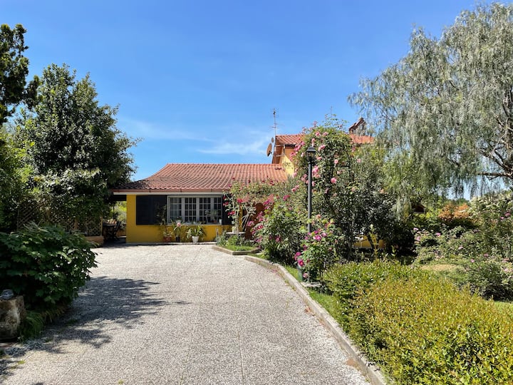 Listing Photo