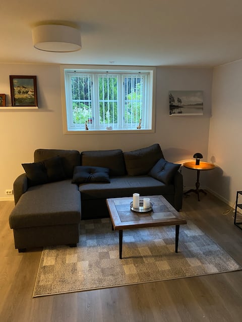 Popular Airbnb listing: Apartment in the center of Ørsta in Ørsta