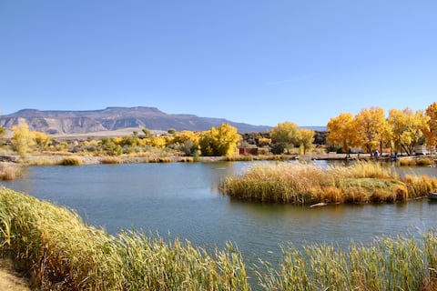 Lakefront animal sanctuary house & guest house